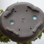 SU-003